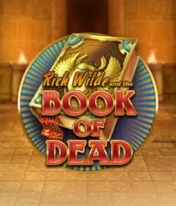 Dive into the thrilling world of Book of Dead by Play'n GO, presenting vivid graphics of Rich Wilde’s adventurous journey through ancient Egyptian tombs and artifacts. Find lost riches with engaging mechanics like free spins, expanding symbols, and a gamble option. Ideal for adventure seekers with a desire for exciting finds.